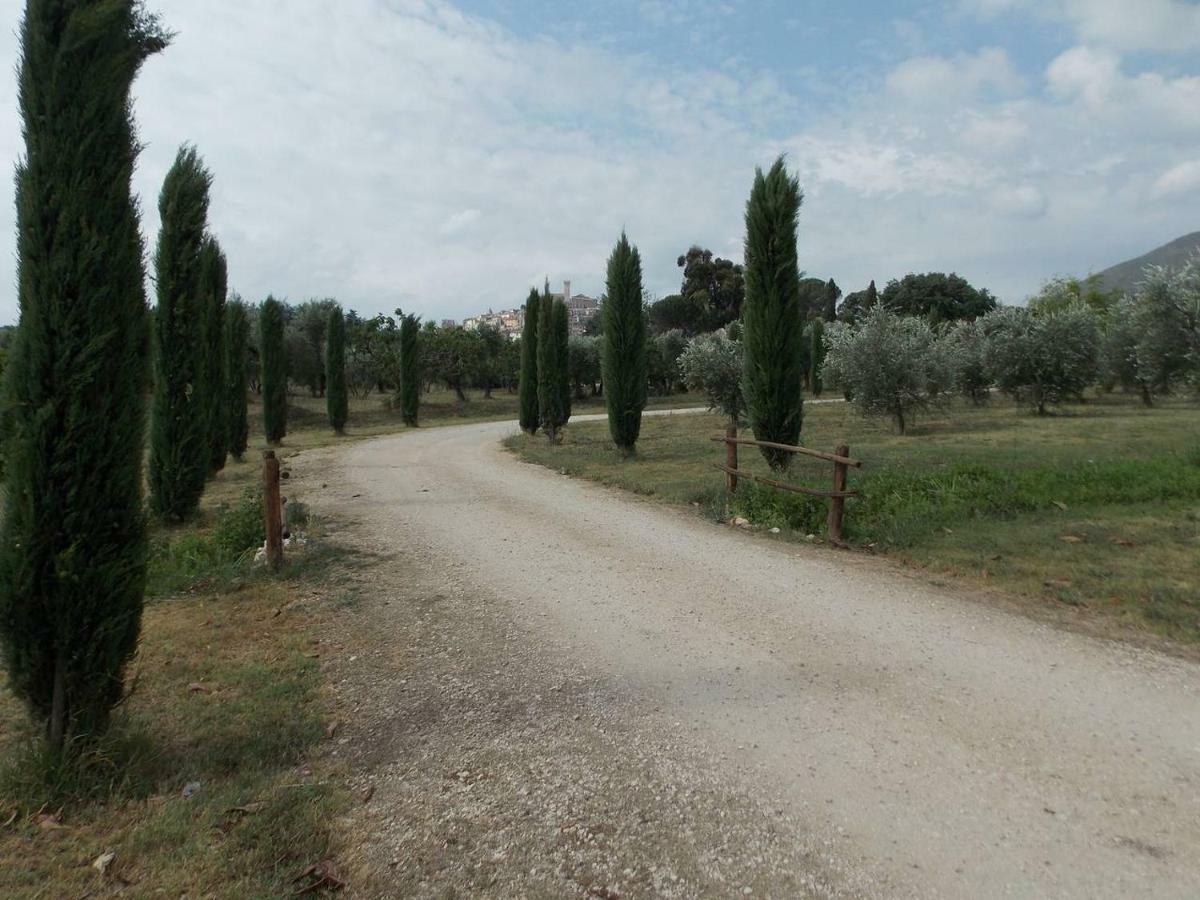 Agriturismo Cento Ducati Palombara Sabina Kültér fotó
