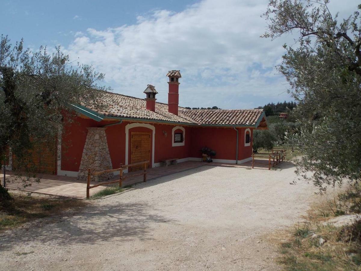 Agriturismo Cento Ducati Palombara Sabina Kültér fotó